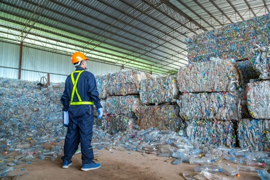 Economia Circular: Rumo a um Sistema de Produção mais Sustentável