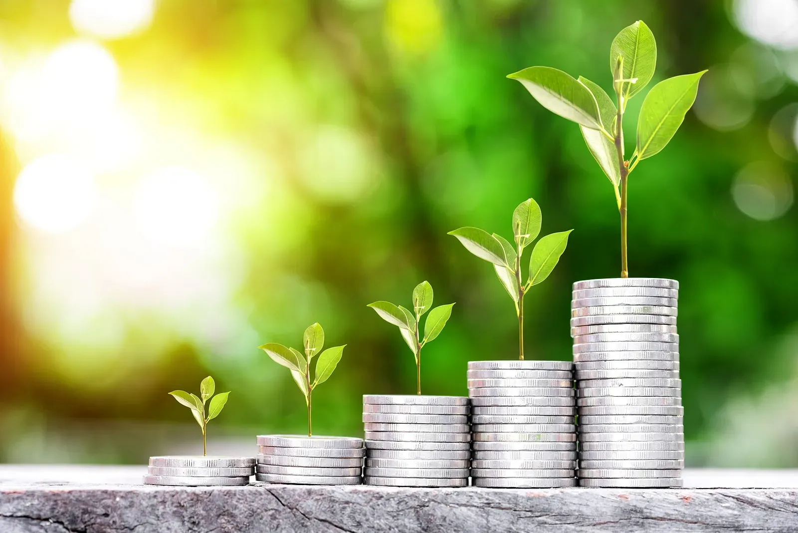 Green Bonds: A Consolidação dos Investimentos Sustentáveis