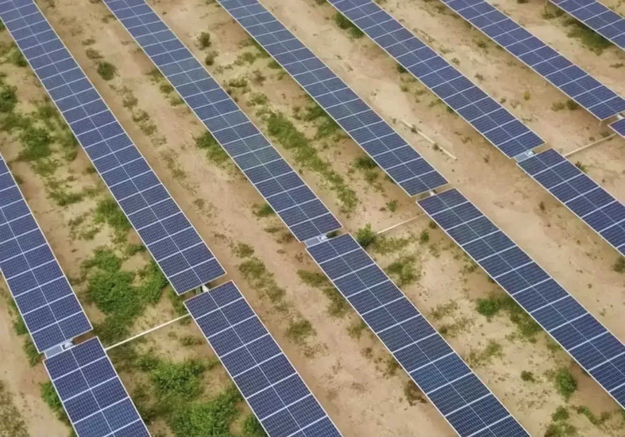 Imagem de uma fazenda de painéis que produzem energia solar compartilhada, durante o dia.
