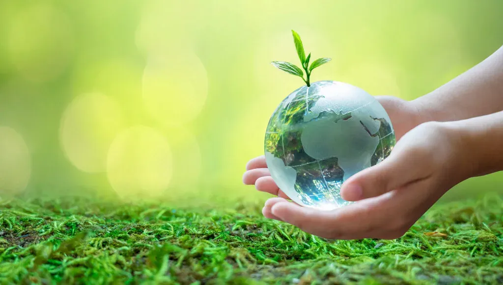As Melhores Medidas para sua Empresa Reduzir os Impactos Ambientais
