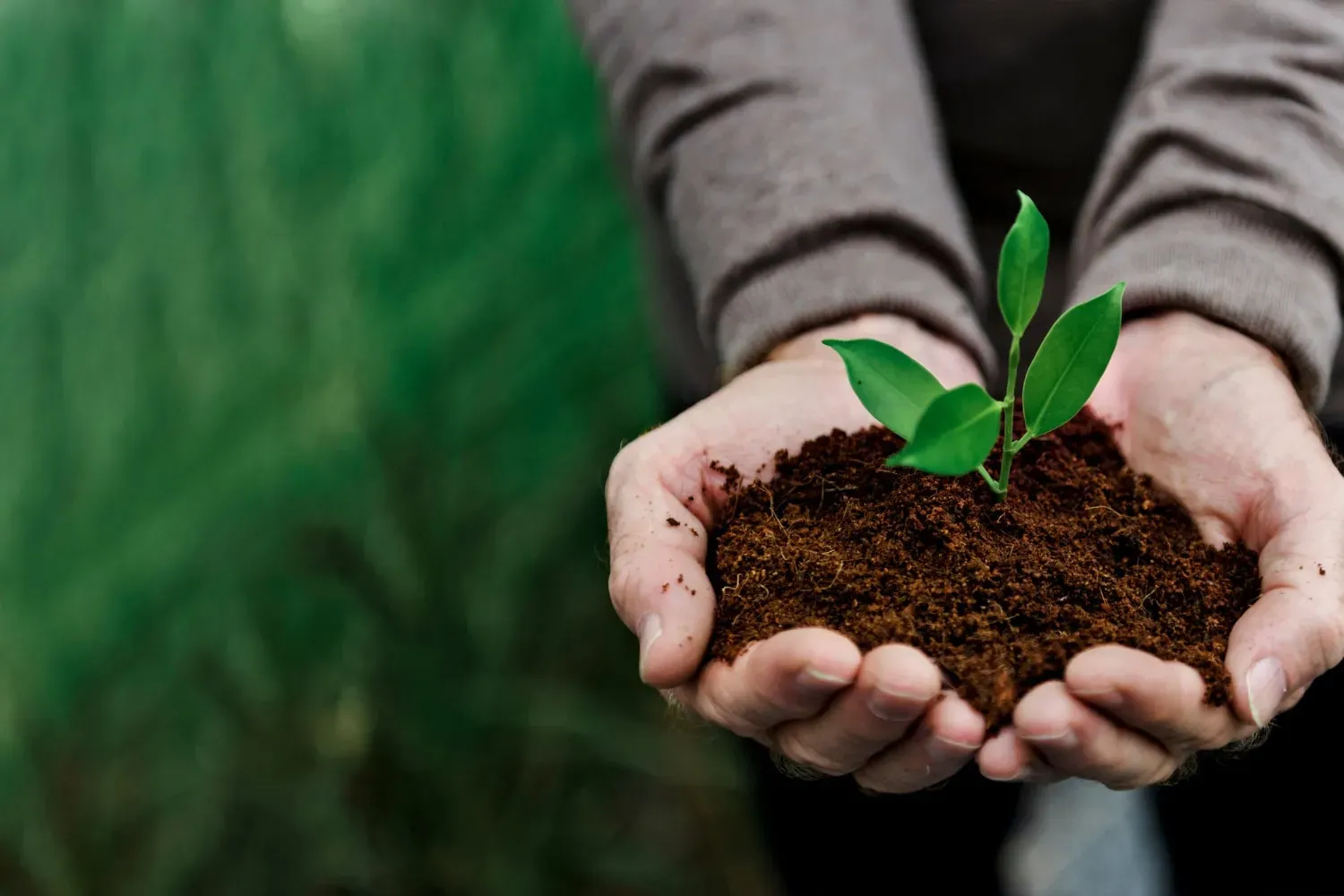 Marketing Verde: Posicionamento e Sustentabilidade