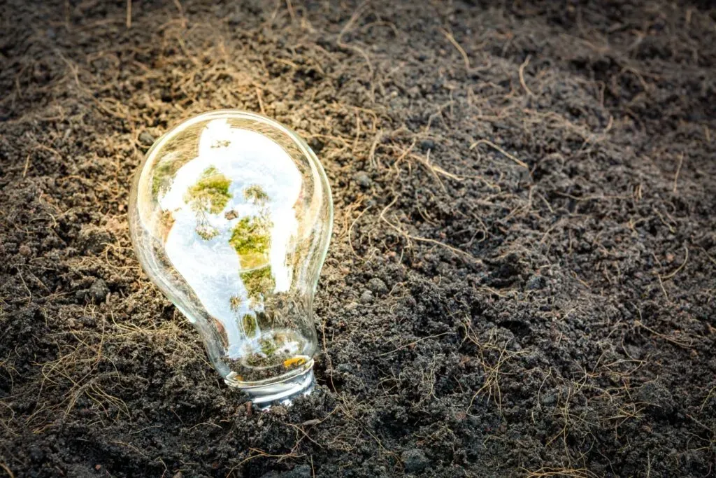 Práticas Sustentáveis: 6 Razões para Investir em 2021