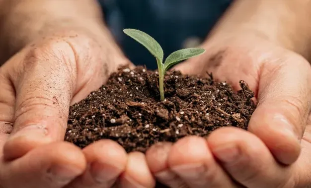 Dicas de como preservar o meio ambiente