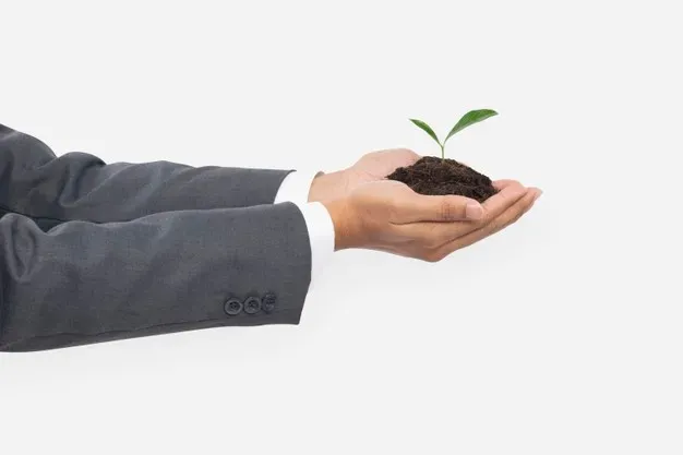 Close-up dos braços esticados de uma pessoa que veste roupa social e segura um punhado de terra com uma planta, sob fundo claro representando o empreendedorismo sustentável.