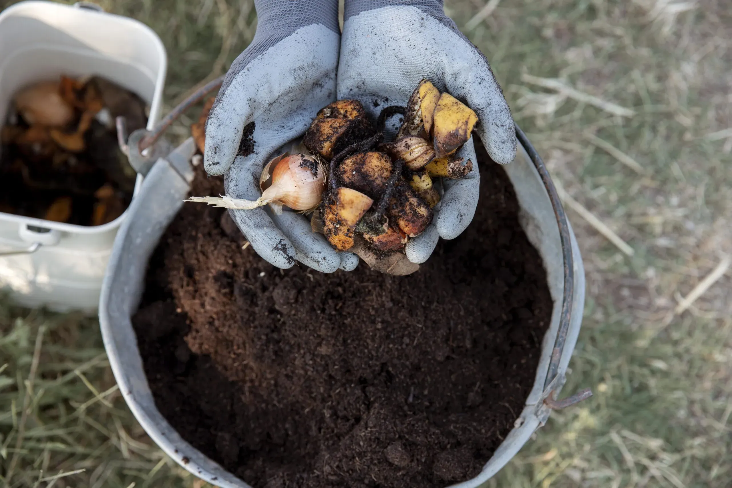 Como fazer compostagem: dicas para realizar em casa