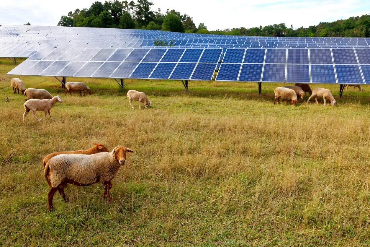 Energia solar no agronegócio: aplicações, payback e linhas de crédito rural em 2026