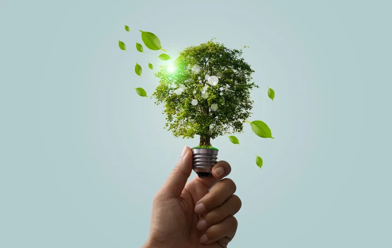 O que é energia verde e como ela chega até você?