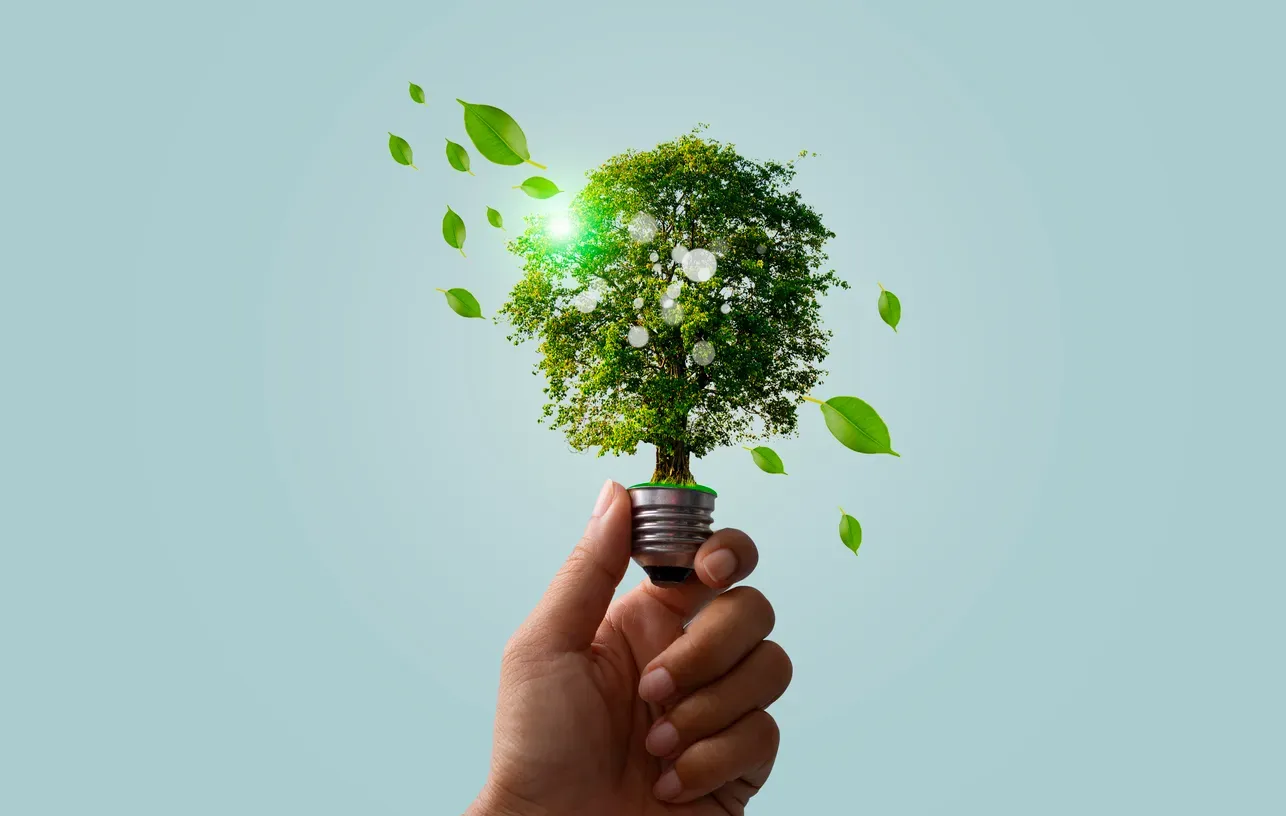 O que é energia renovável para empresas e como sua empresa pode aderir?