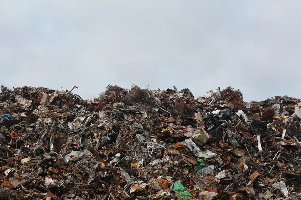 Descubra o que é economia linear, e quais são seus impactos no ambiente!