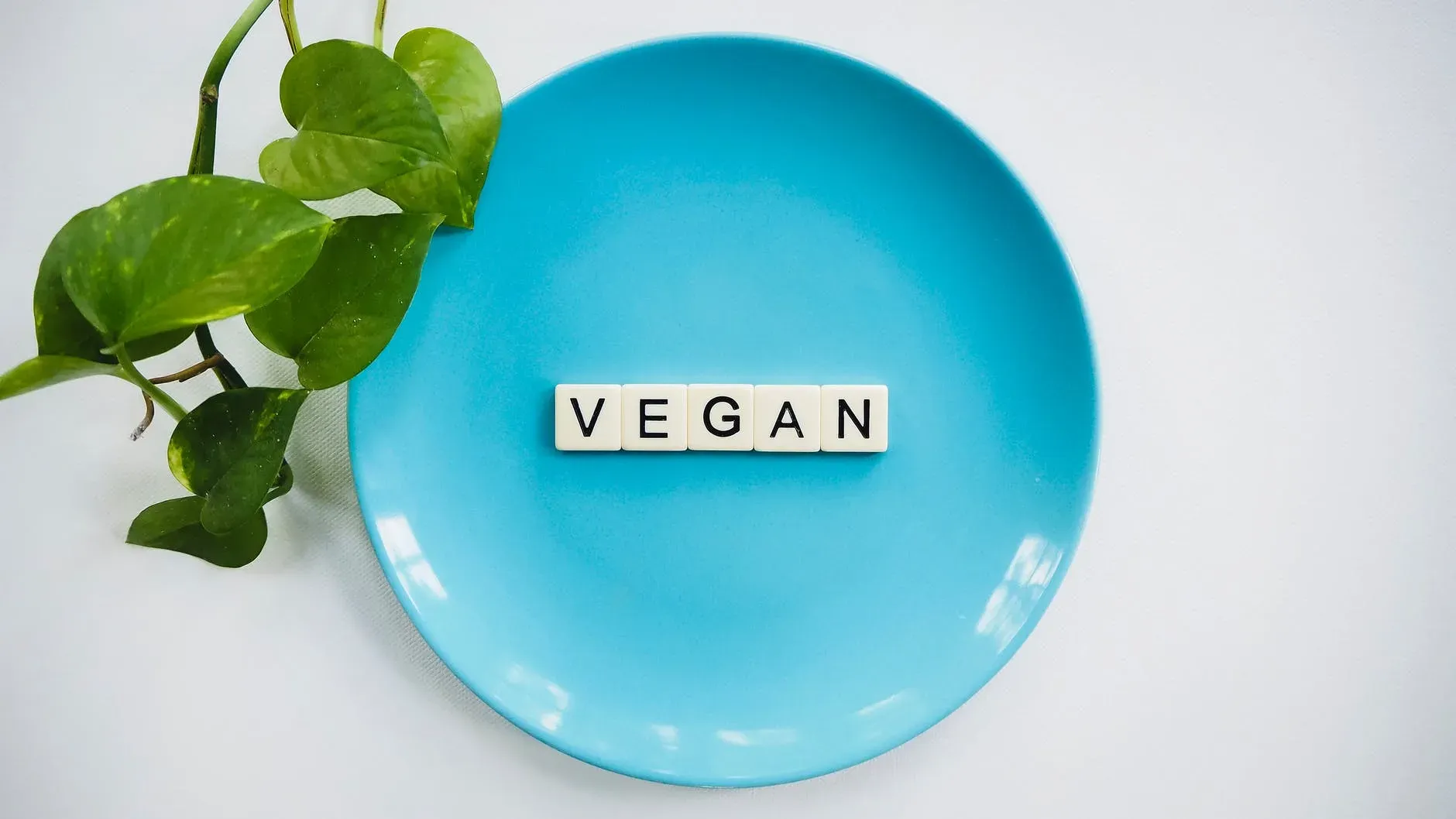 Imagem apresenta um prato de cor azul, em cima de uma superfície clara, com uma planta ao lado. No centro do prato está escrito a palavra “vegan” em inglês, que significa “vegano”.
