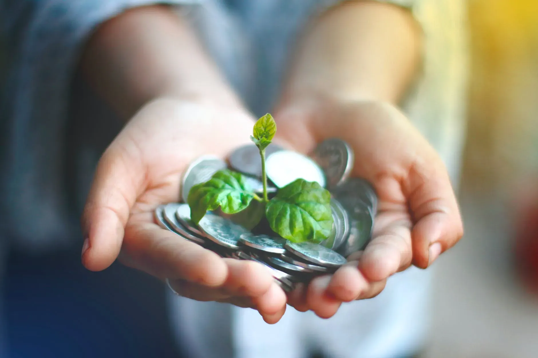O que é sustentabilidade econômica, e qual sua importância?